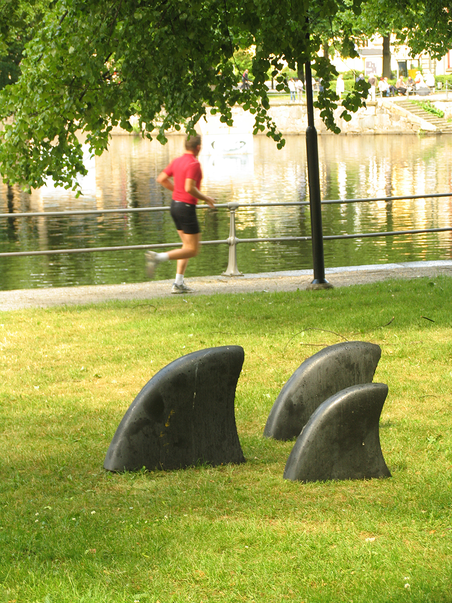 Tre stycken späckhuggare fenor sticker upp ur gräsmattan i bakgrunden syns en löpare och Svartån.  