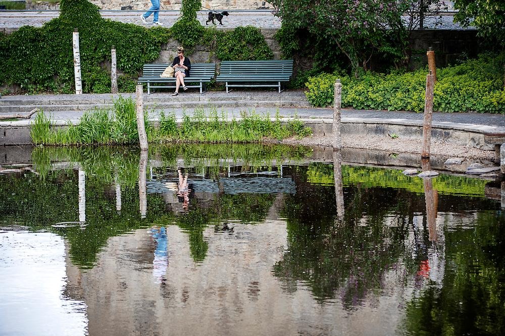 At the edge of Svartån, in the water, on the paving and in the flower beds, wooden logs with a USB memory stick at the top are placed vertically. A woman sits on a park bench in front of the water.