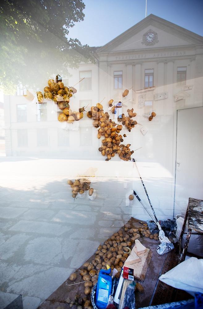 I en glasmonter sitter potatisar uppspikade med pinnar på en vit vägg.  