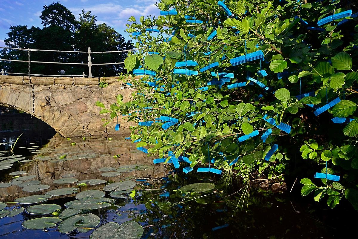 Över Svartåns vattenyta vila näckrosor och vid vattenkanten breder sig en stor grön buske ut sina grenar. I grenarna hänger en svärm av spröda, turkosa "insekter" gjorda i skumgummi. 