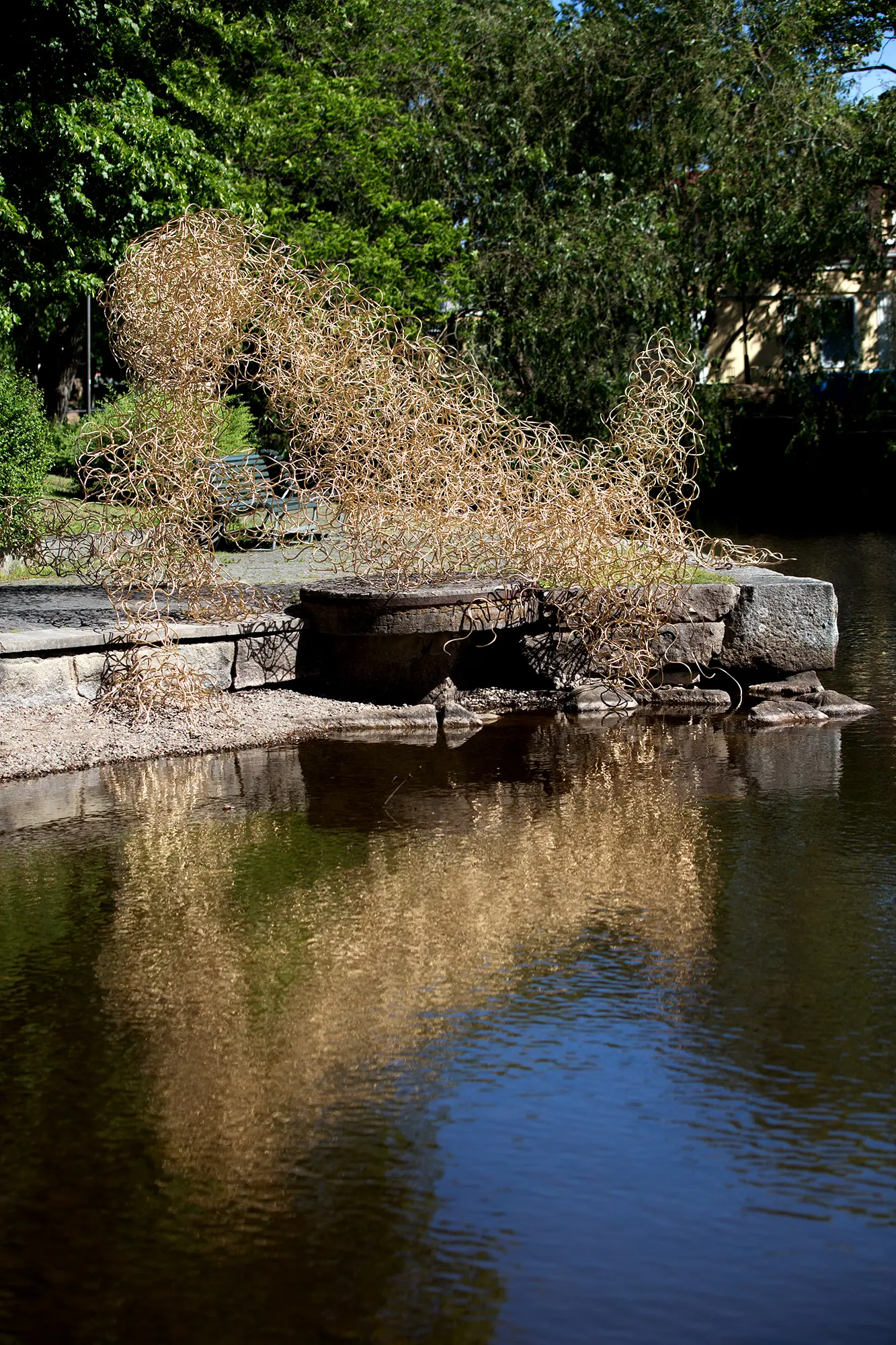 Vid vattenkanten av en å står en stor skulptur uppbyggd av ett virrvarr av tunna guldfärgade metalltrådar som sitter ihop tätt i en oregelbunden form. I vattnet syns en suddig reflektion av skulpturen och i bakgrunden syns träd.