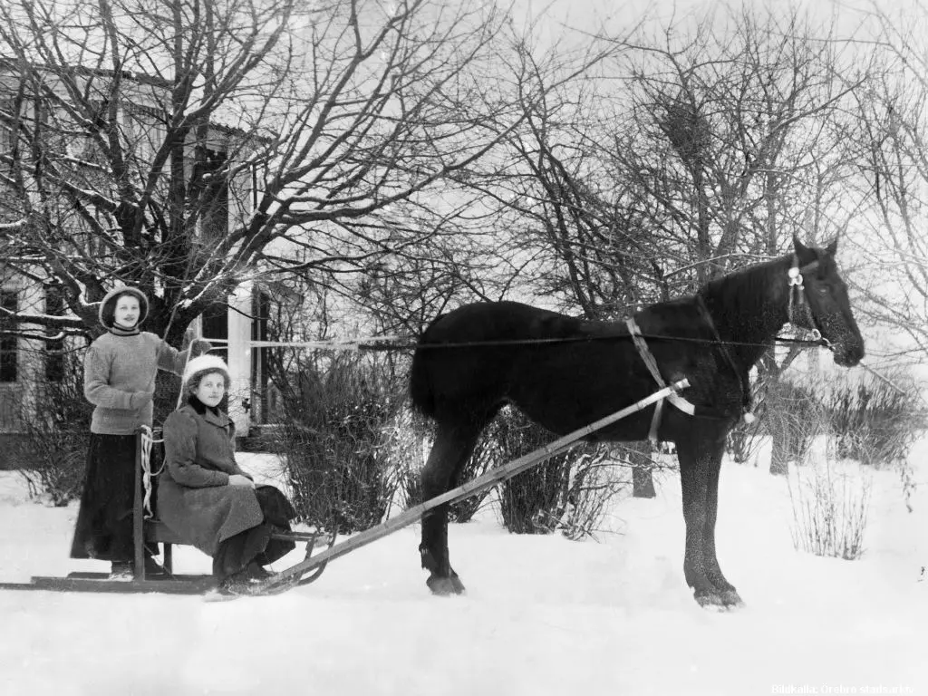 Häst med kälke i Riseberga 1910. Fotograf Sophie Janson/Örebro stadsarkivs bildarkiv