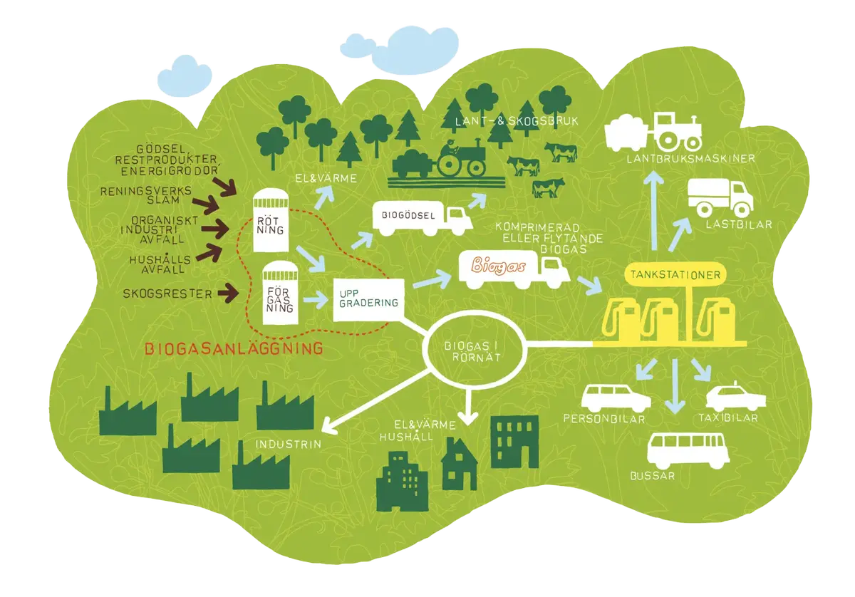 Illustration över biogassystemet.